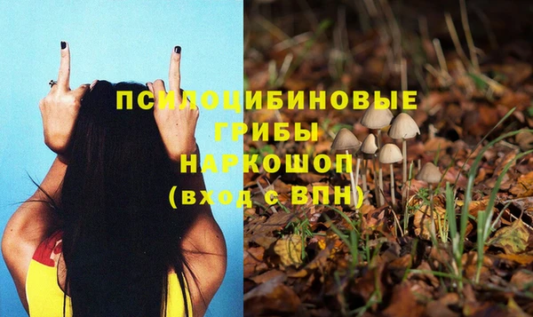 мяу мяу кристалл Заводоуковск